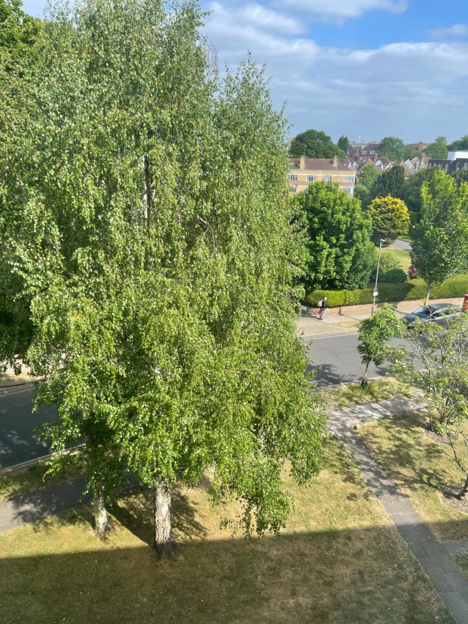 Apartment mit Gartenblick